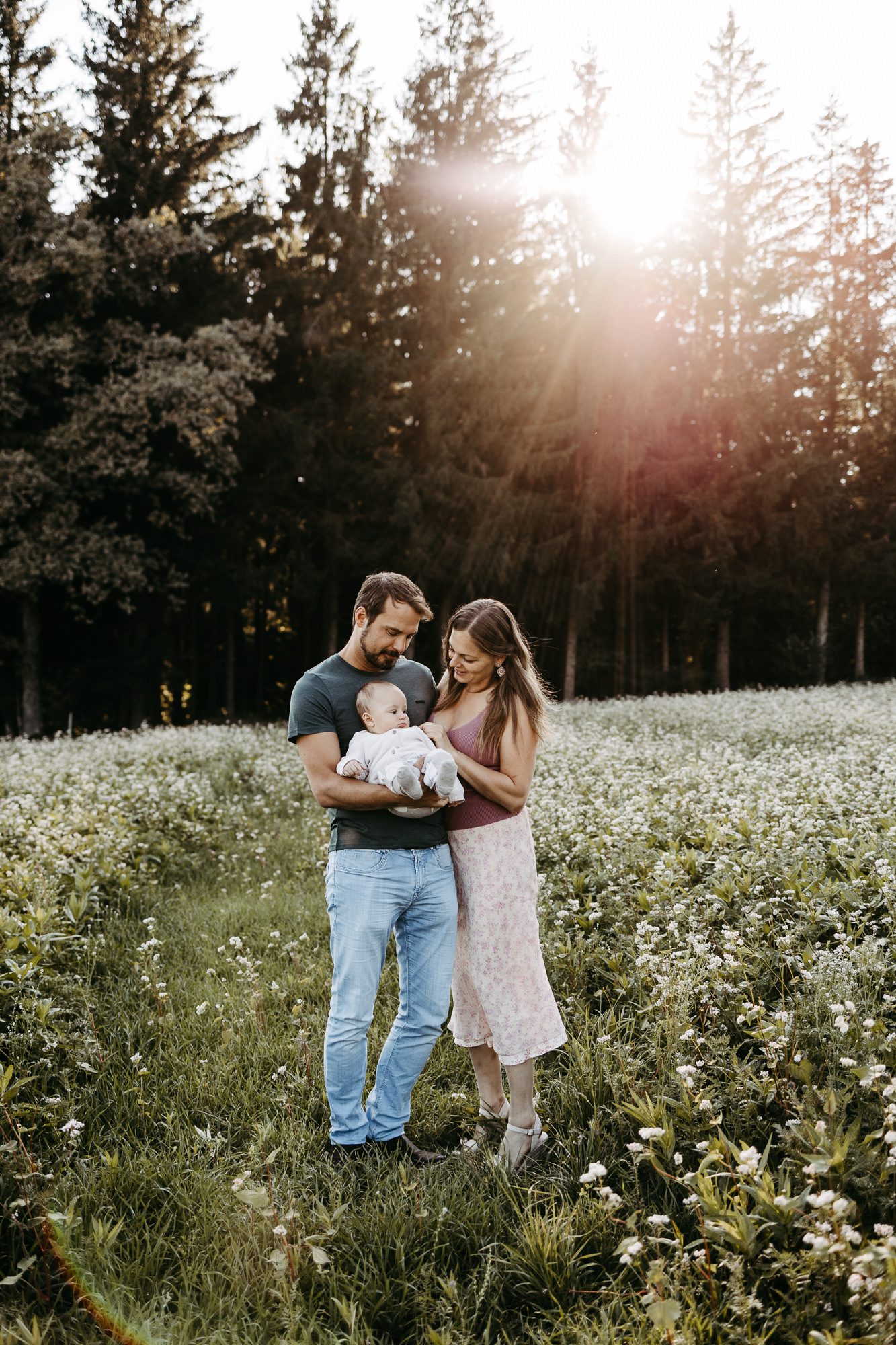 Familie steht in einer Blumenwiese im warmen Gegenlicht der untergehenden Sonne, Vater hält das Baby